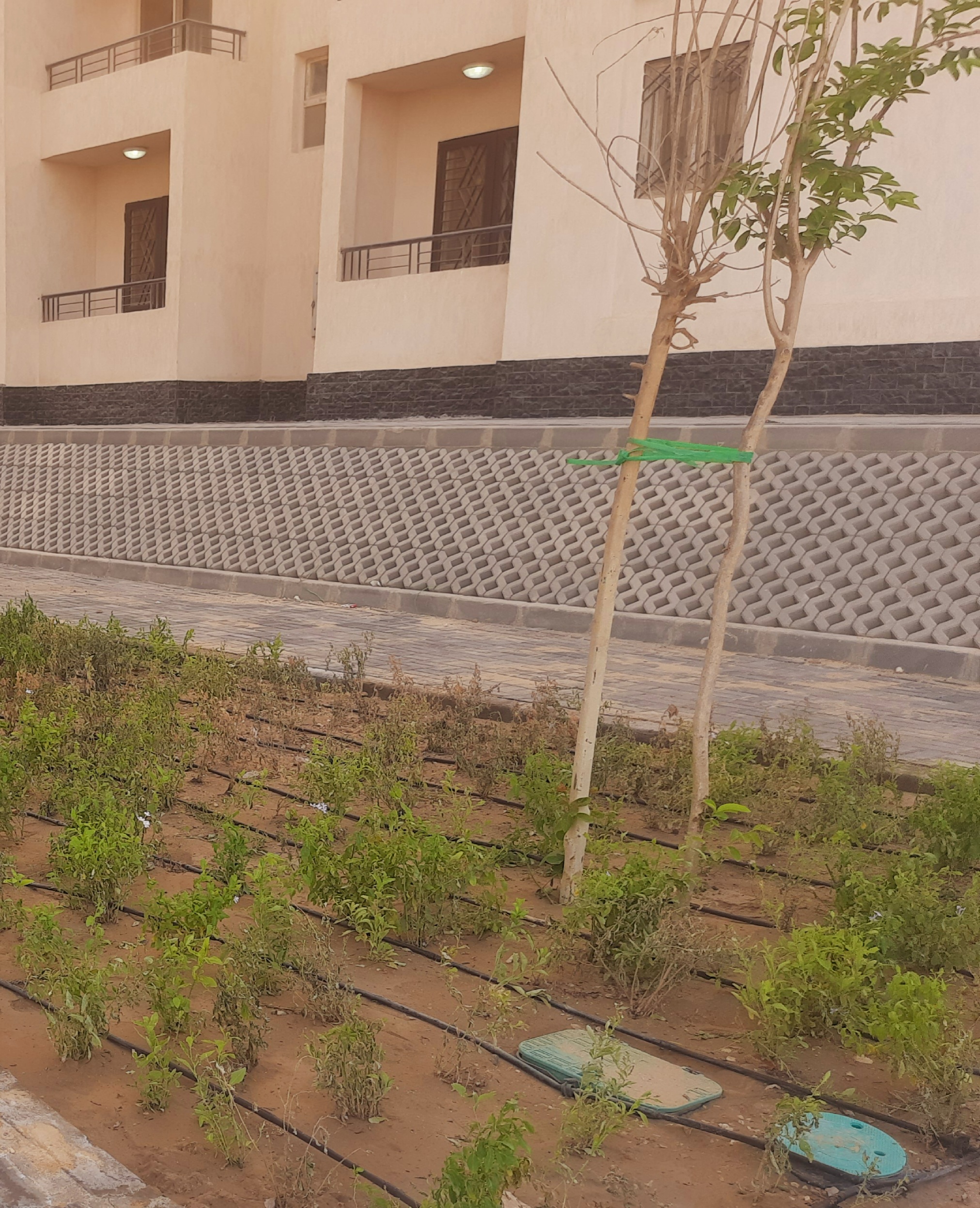 مدينة 15 مايو امتداد ال90 فدان منطقة النرجس