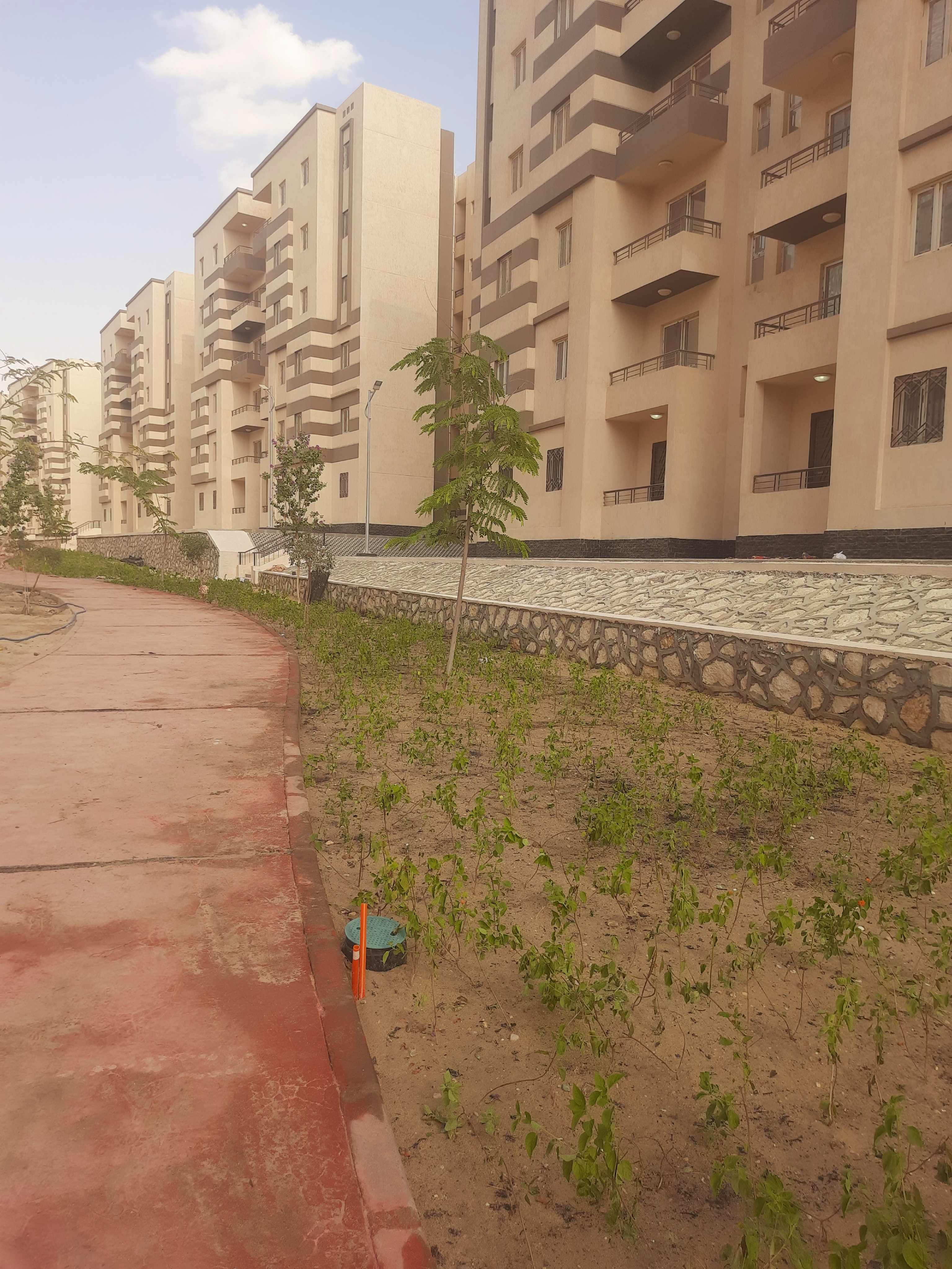 مدينة 15 مايو امتداد ال90 فدان منطقة النرجس