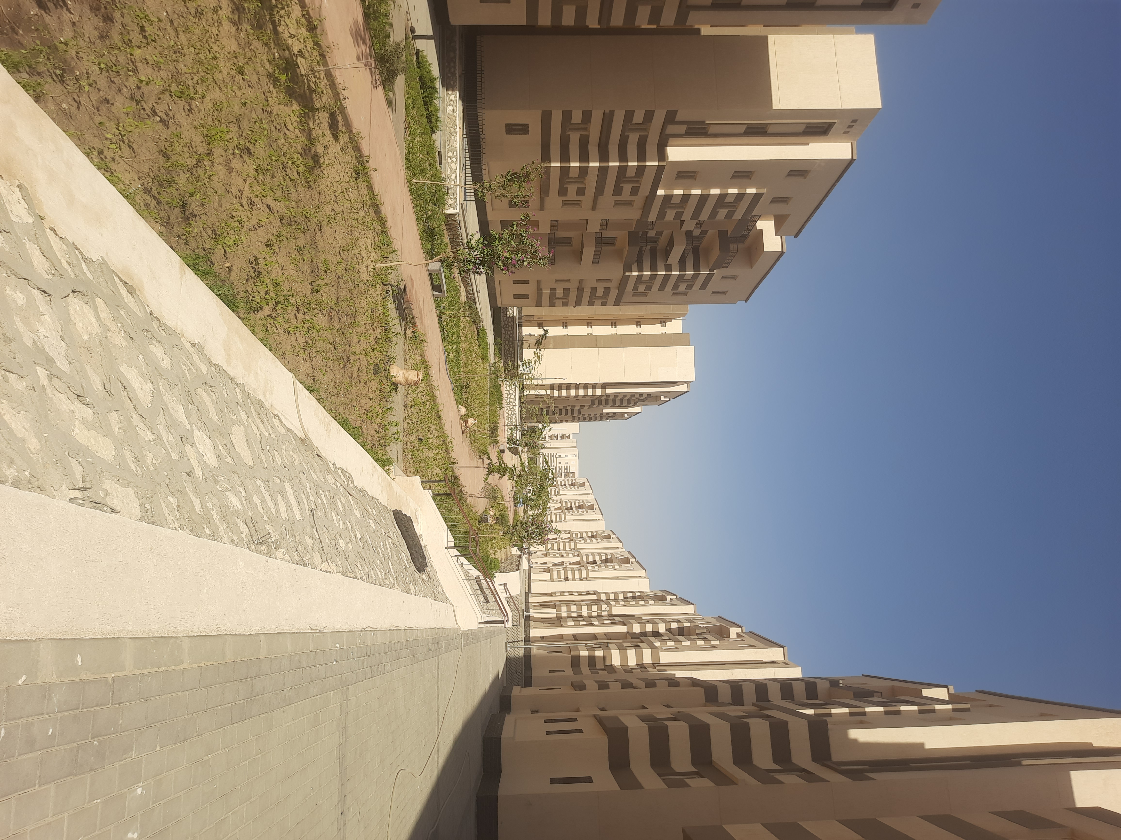 مدينة 15 مايو امتداد ال90 فدان منطقة النرجس