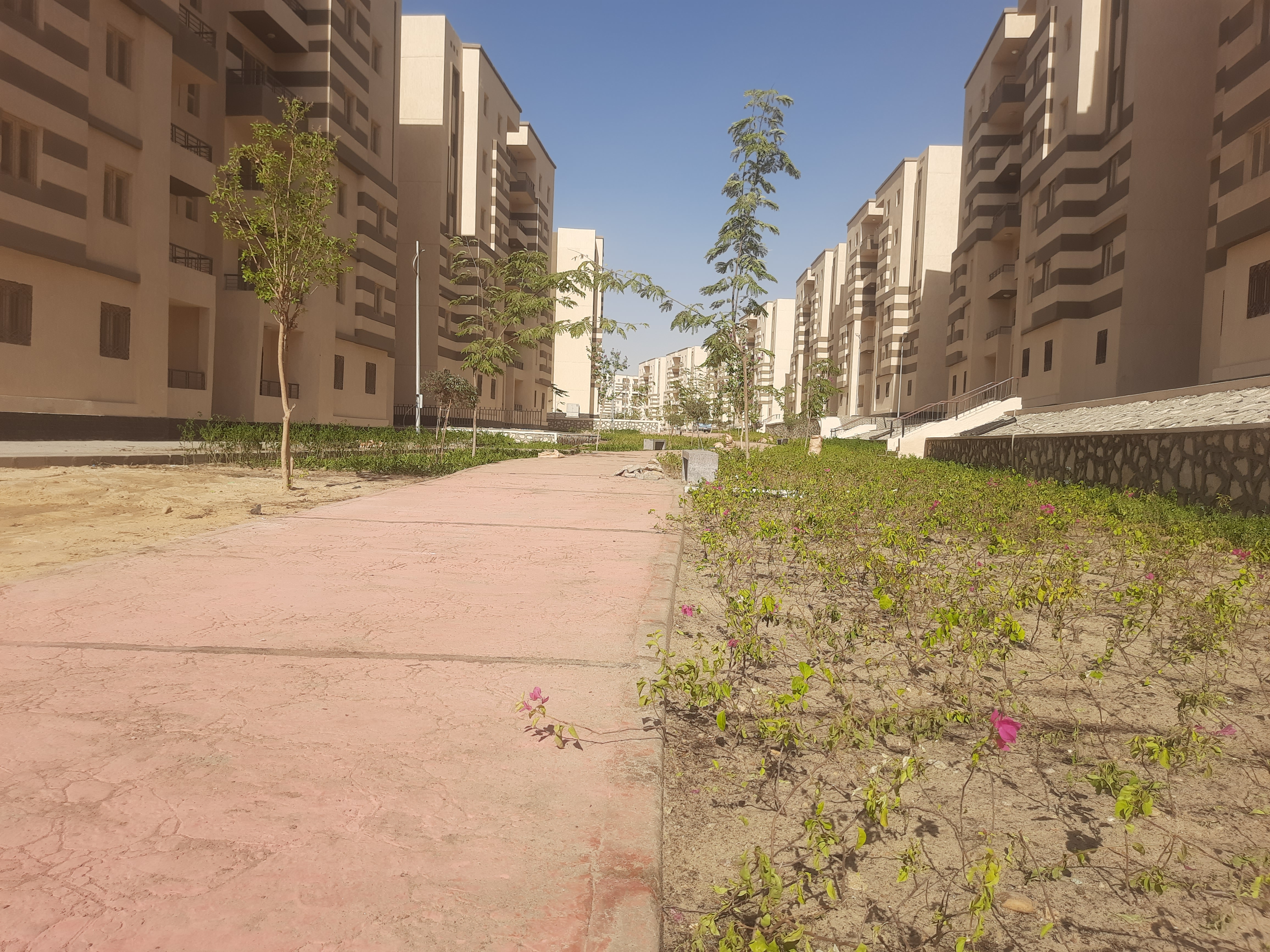 مدينة 15 مايو امتداد ال90 فدان منطقة النرجس