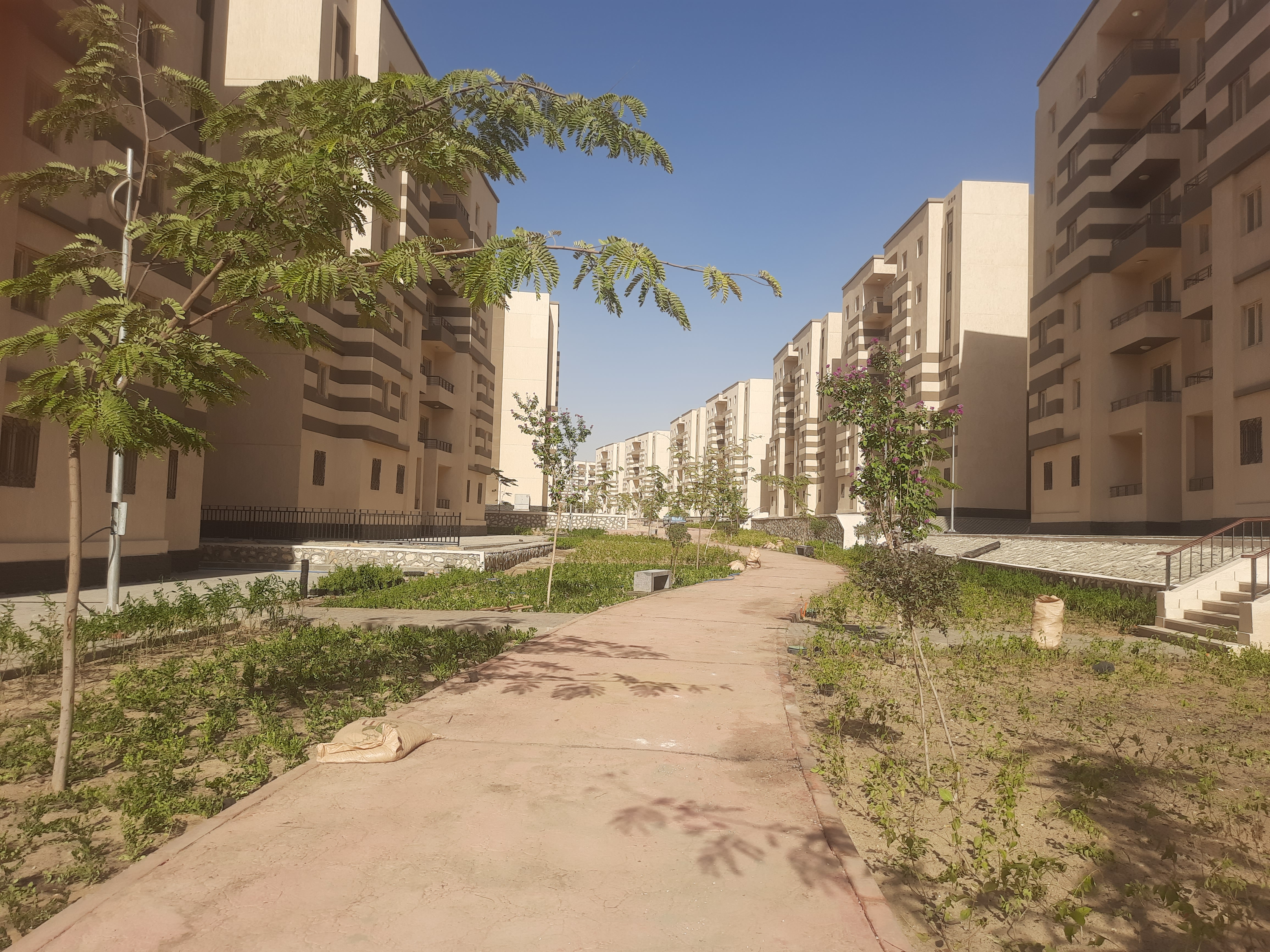 مدينة 15 مايو امتداد ال90 فدان منطقة النرجس