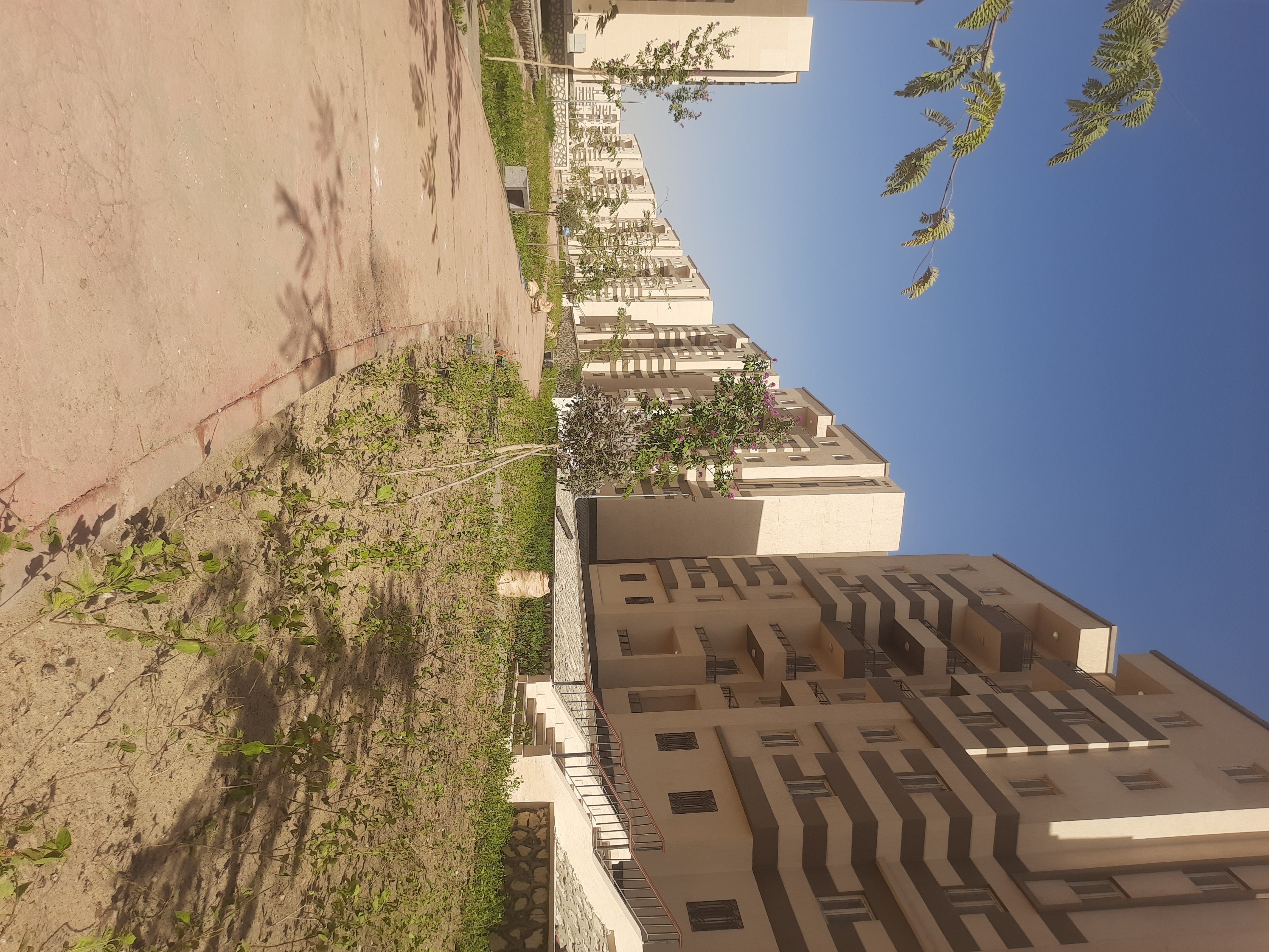 مدينة 15 مايو امتداد ال90 فدان منطقة النرجس