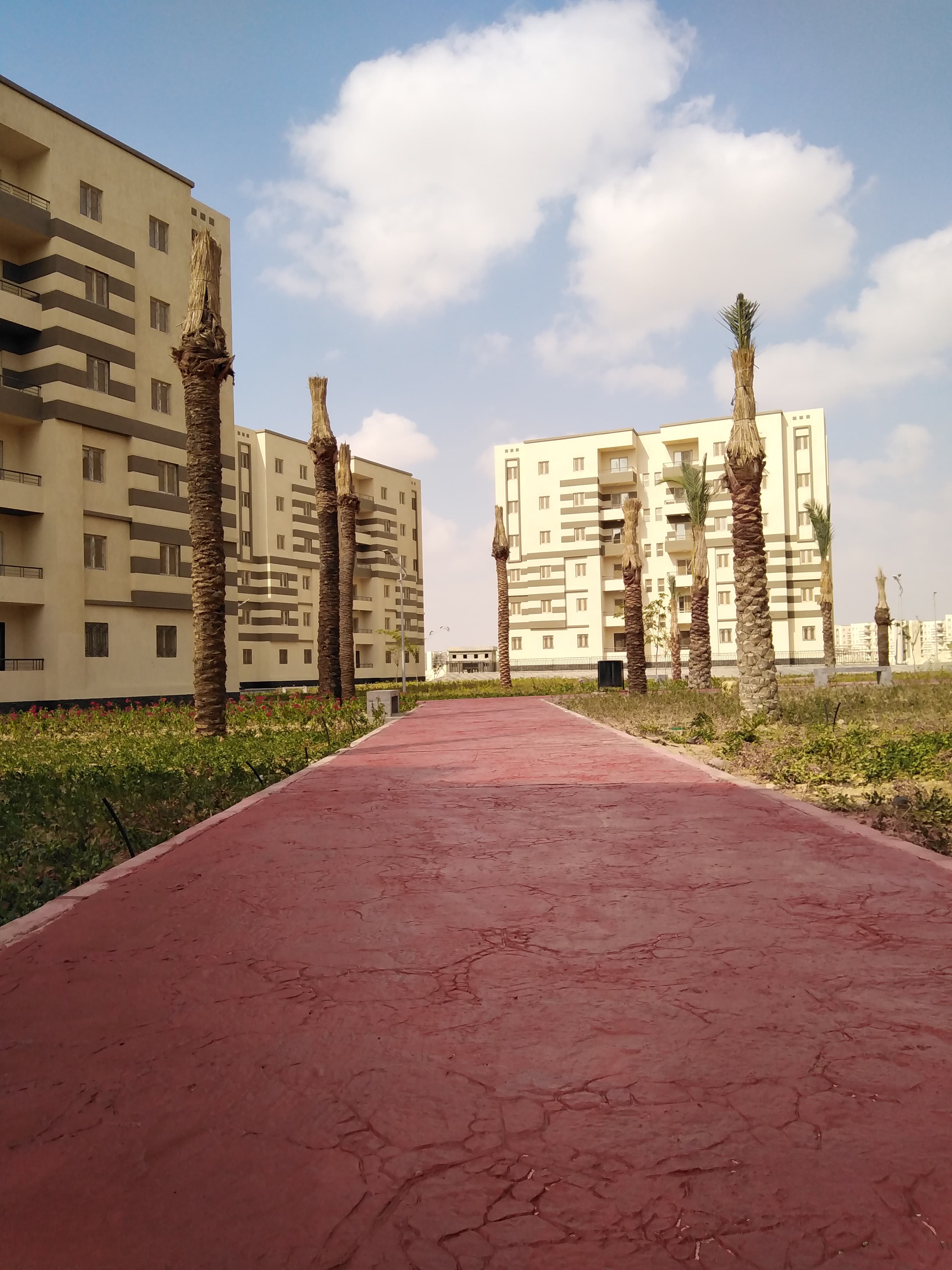 مدينة 15 مايو امتداد ال90 فدان منطقة النرجس