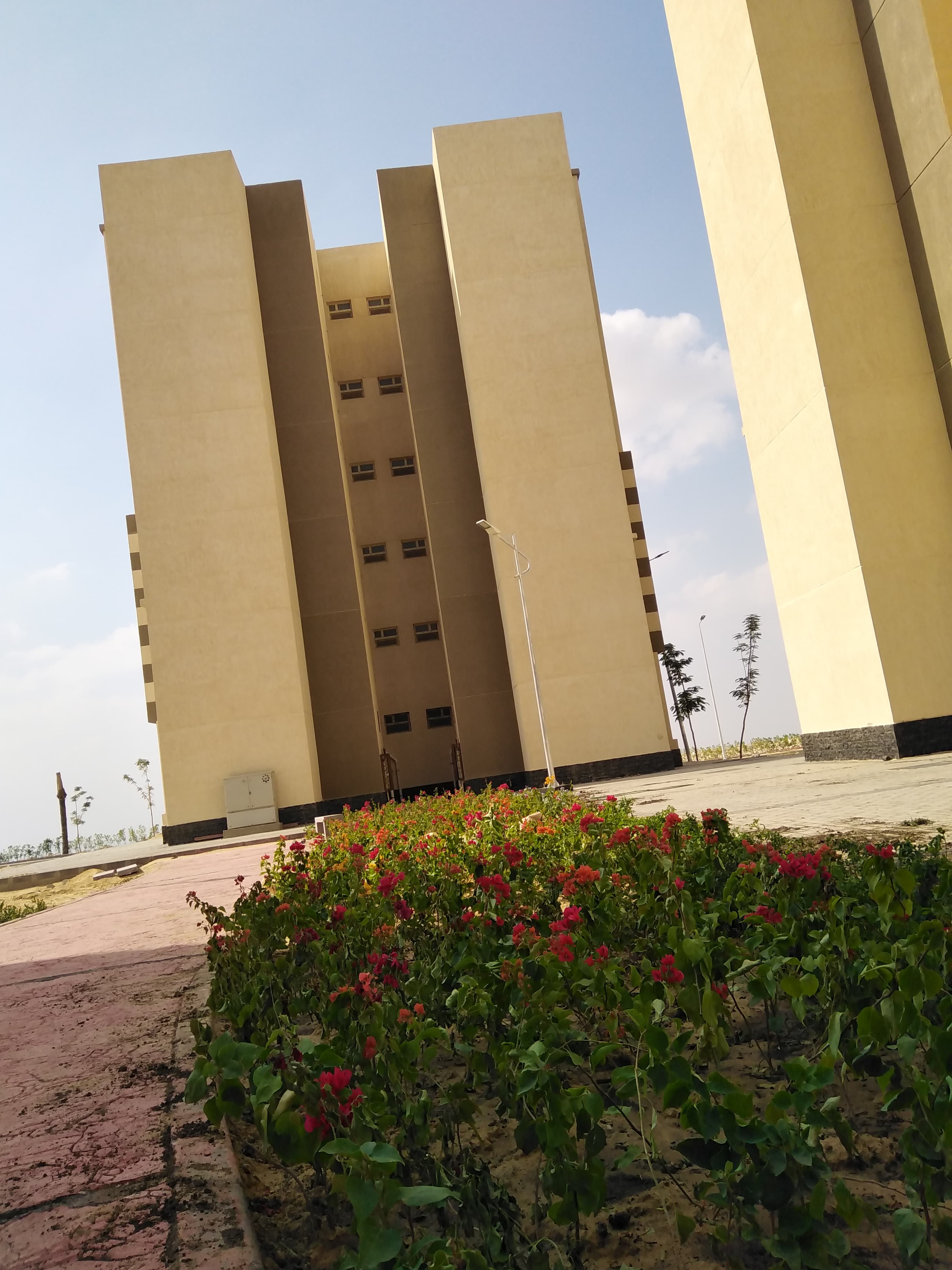 مدينة 15 مايو امتداد ال90 فدان منطقة النرجس