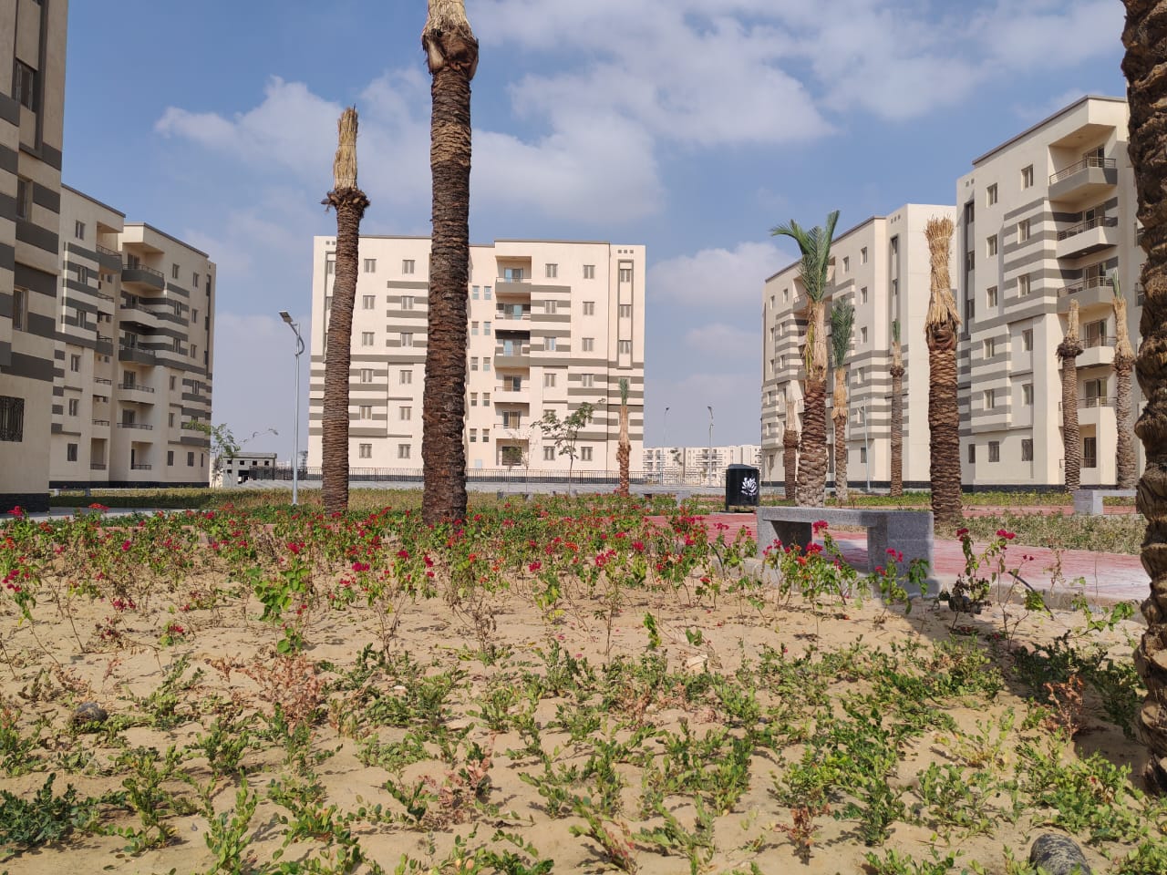 مدينة 15 مايو امتداد ال90 فدان منطقة النرجس