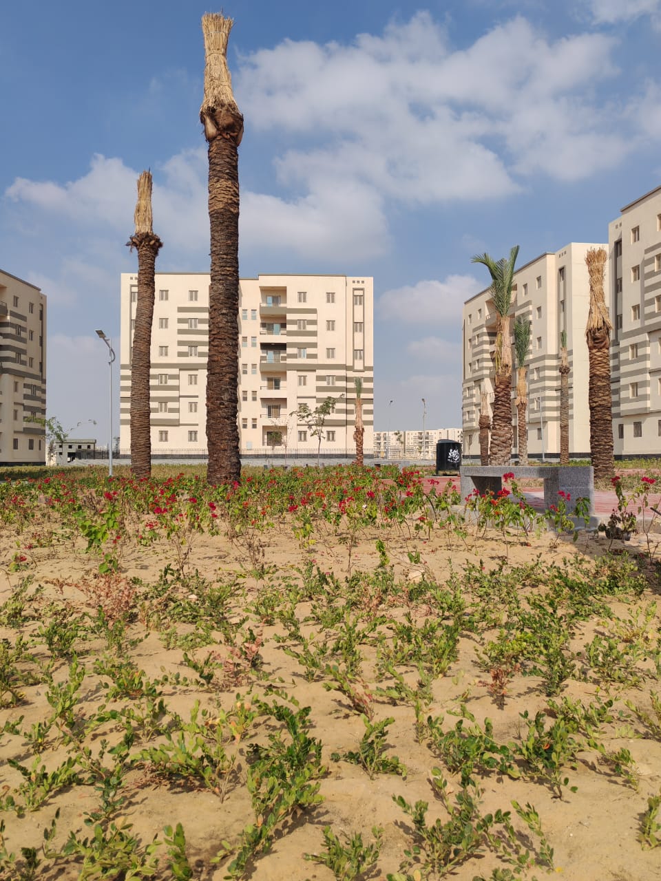 مدينة 15 مايو امتداد ال90 فدان منطقة النرجس