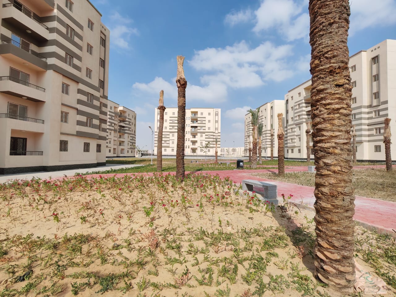 مدينة 15 مايو امتداد ال90 فدان منطقة النرجس