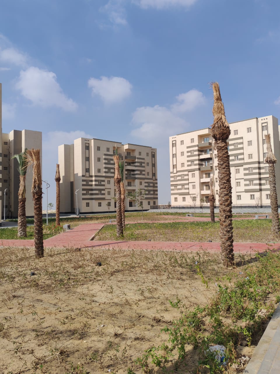 مدينة 15 مايو امتداد ال90 فدان منطقة النرجس