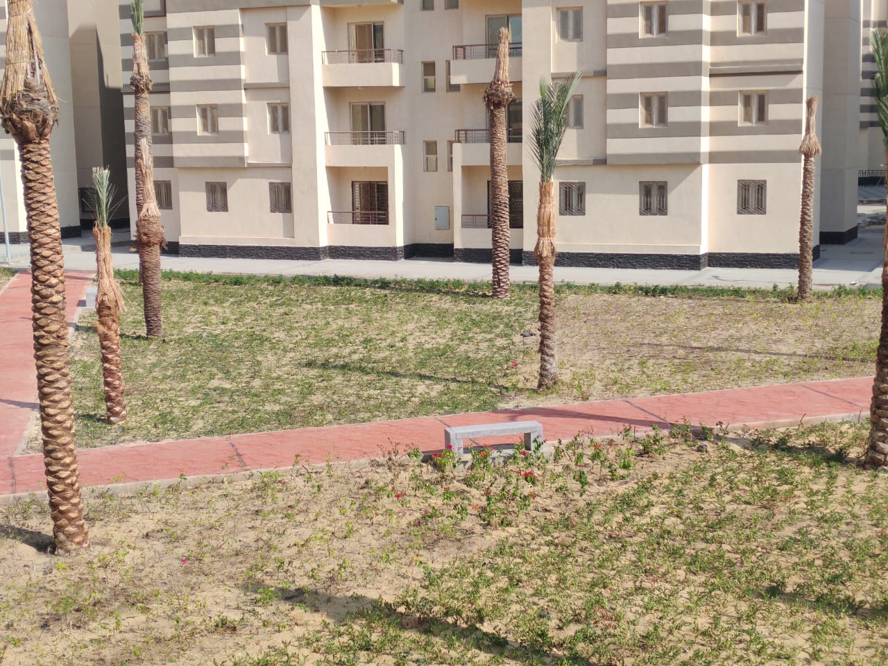 مدينة 15 مايو امتداد ال90 فدان منطقة النرجس