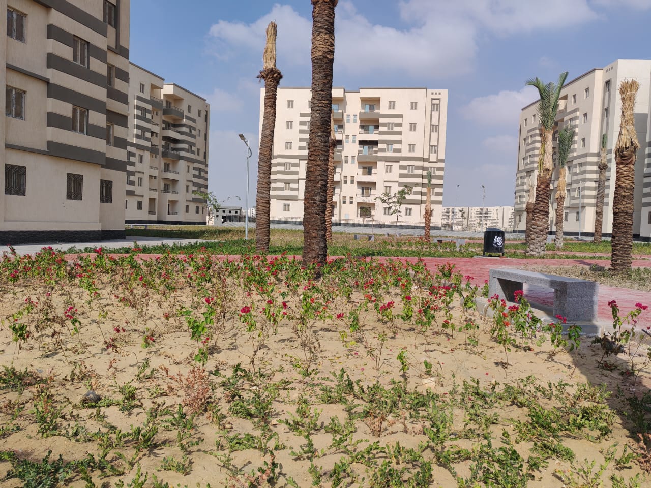 مدينة 15 مايو امتداد ال90 فدان منطقة النرجس