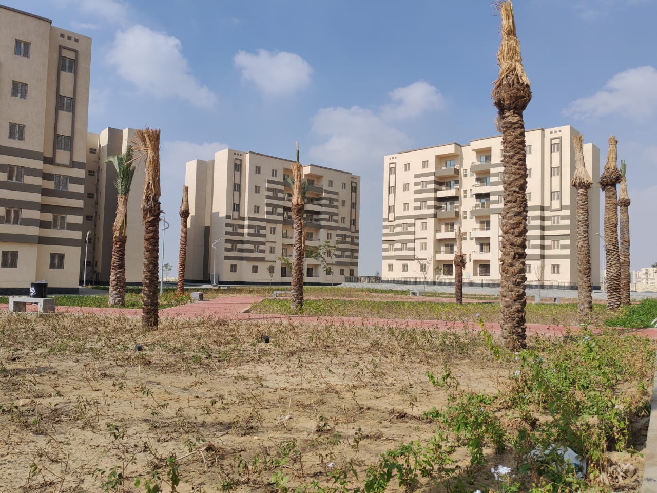 مدينة 15 مايو امتداد ال90 فدان منطقة النرجس