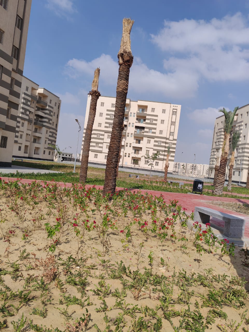 مدينة 15 مايو امتداد ال90 فدان منطقة النرجس