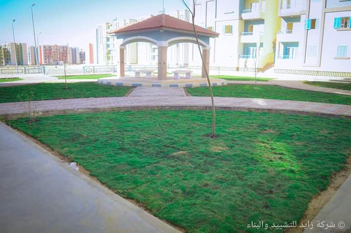 مدينة 15 مايو منطقة 290 فدان